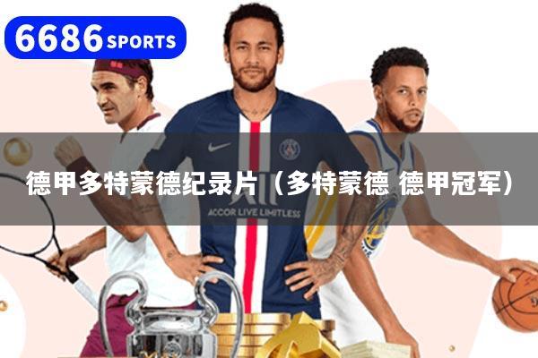 德甲多特蒙德纪录片(多特蒙德 德甲冠军)