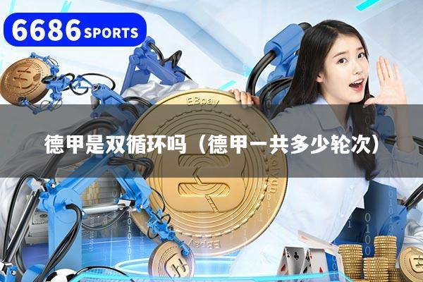 德甲是双循环吗(德甲一共多少轮次)