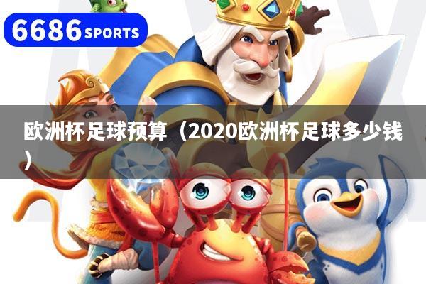 欧洲杯足球预算（2020欧洲杯足球多少钱）