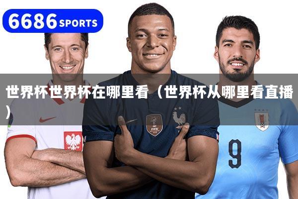 世界杯世界杯在哪里看（世界杯从哪里看直播）