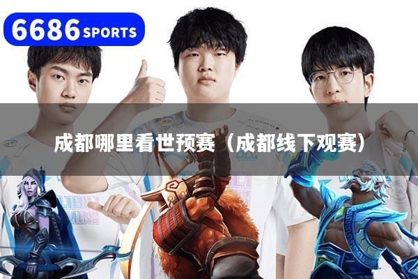 成都哪里看世预赛（成都线下观赛）
