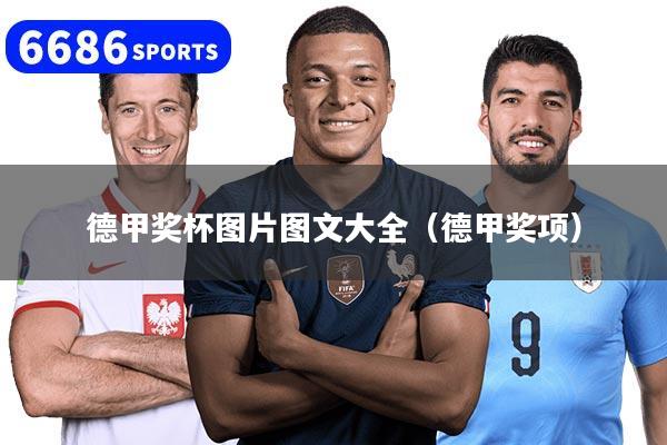 德甲奖杯图片图文大全（德甲奖项）